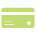 Visa Debit Card